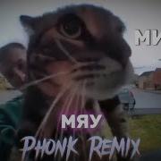 Savuoon Мяу Phonk Remix Mp3 Минус