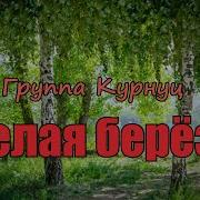 Шуми Берёза Белая