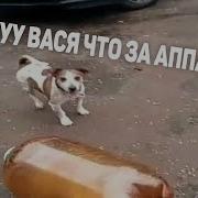 Ууу Вася Че За Аппарат