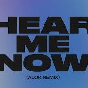 Alok Hear Me Now Remix