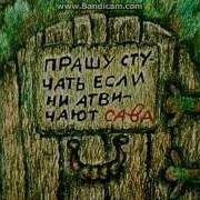 Сова Открывай Медведь Пришел Прикол