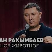 Начинаешь Делать Одно Срочно