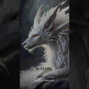 N Tchbl Southern Storm Moshic Remix