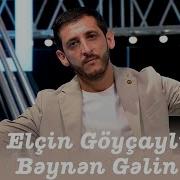 Elcin Goycayli