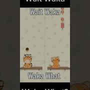 Wait Waka Waka Tiktok