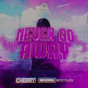 Never Go Away Remix