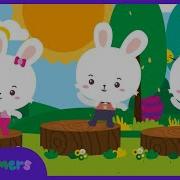Bunny Hope
