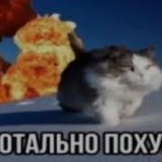 Тотально Похуй 1 Час