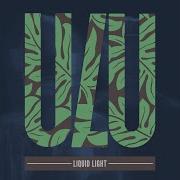 Liquid Light Original Mix David Mayer