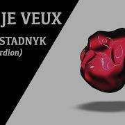 Zaz Je Veux Accordion Cover Andriy Stadnyk