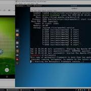 How To Create Backdoor Android Apk With Netool Toolkit And Metasploit On Kali Linux