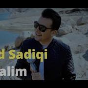 Omid Sadiqi 2021