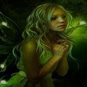 Fairy Forest