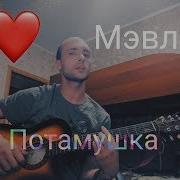 Мэвл Патамушка Cover Владислав Винский