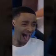 Dolphins Meme