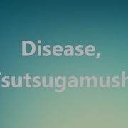 Disease Tsutsugamushi Medical Meaning And Pronunciation