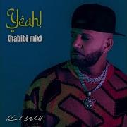 Yeah Habibi Mix