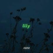 Lily Alan Walker Slowed Reverb Tiktok