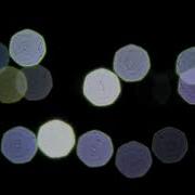 Плешак Маленький Принц Ноты