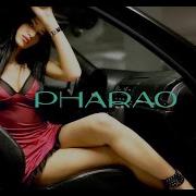 Pharao Saytriz 2024