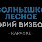 Караоке Милая Моя Солнышко Лесное