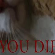 You Died Meme