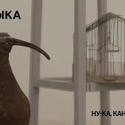 Громыка Ну Ка Канарейка