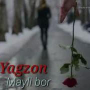 Mayli Bor O Shalarga