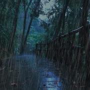 雨声