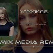 Remix Avcisi Yaprak Gibi Feat Zehra Gülüç