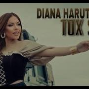 Diana Tox Sirts