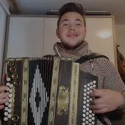 Stara Polka V Zivo