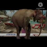 Elephant Smash Green Screen