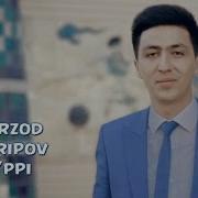 Sherzod Sharipov Tushun Mani