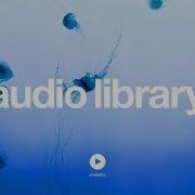 Ethan Meixsel Demise No Copyright Music