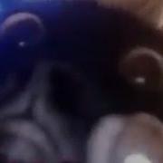 Опа Читы