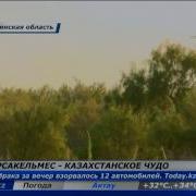 Заповедник Барсакельмес Казахстанское Чудо