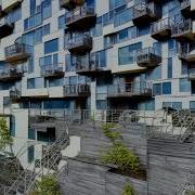 Feather Ariana Speed Up