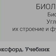 Биология Биохимия Углеводы Их Строение И Функции Чентр Онлайн Обучения Фоксфорд