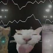 The Penis Eek Remix
