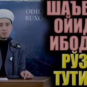 Shabon Oyi Haqida