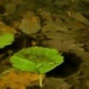 Chopin Classigue Sonata9
