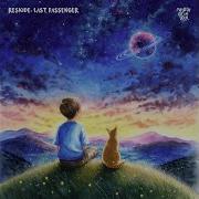 Reskide Last Passenger Stray