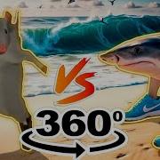 Rat Dance X Tralalelo