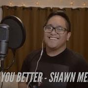 Shawn Mendes Treat You Better Cover