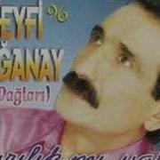 Seyfi Doğanay I Yi Değil