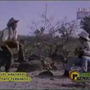 Vicente Fernandez
