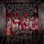 Six Feet Under Stripped