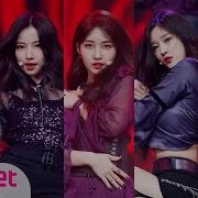 Produce 48 Rumor