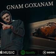 Artush Goxanam